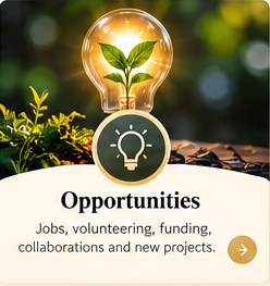 Opportunities